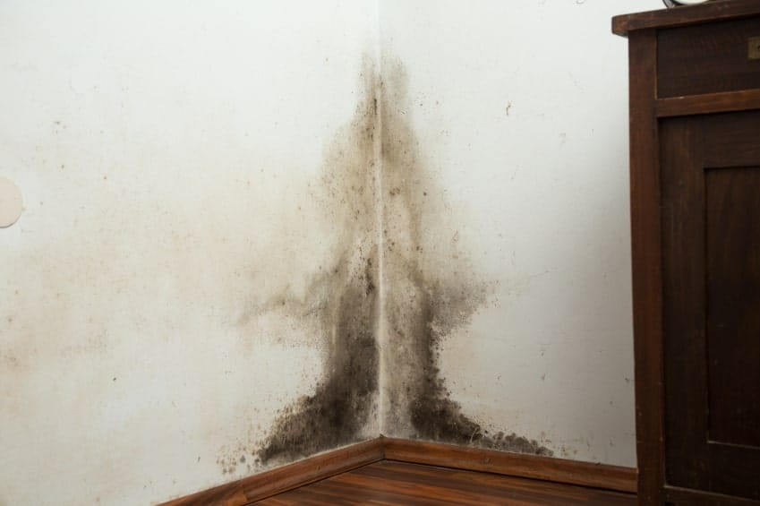 When Is It Time to Repair or Replace Drywall? - All Climate Painting