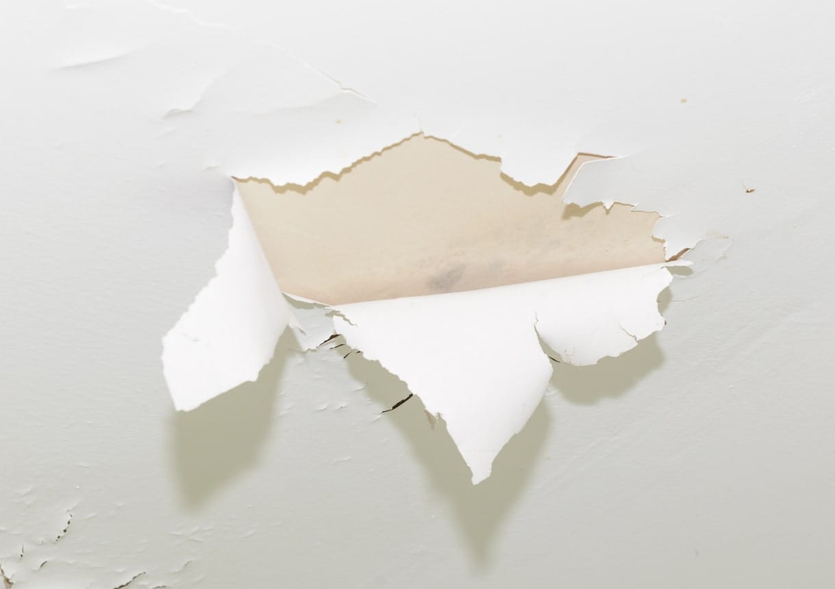 7 Types of Drywall Services to Repair Damage - All Climate Painting