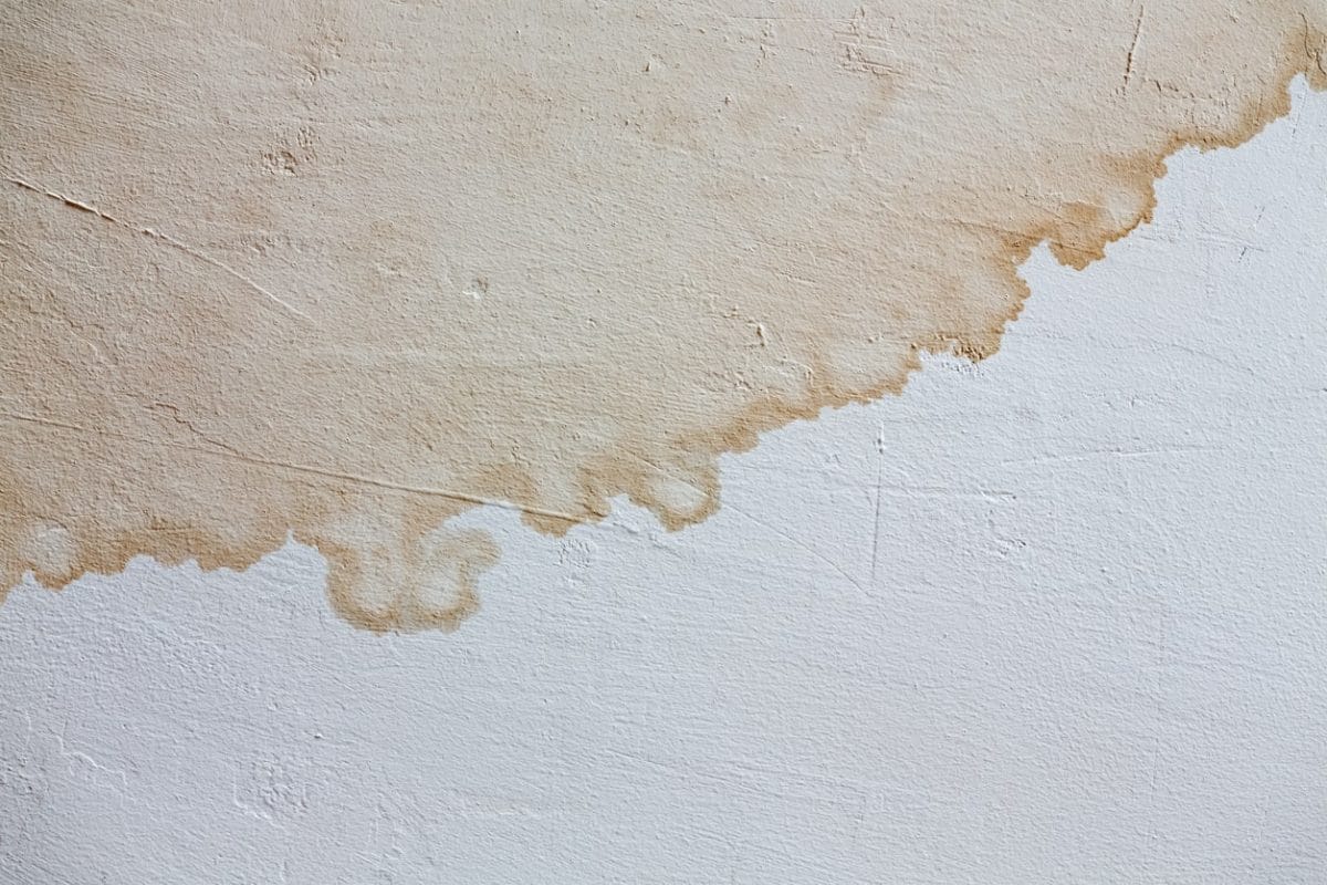 7 Types of Drywall Services to Repair Damage - All Climate Painting