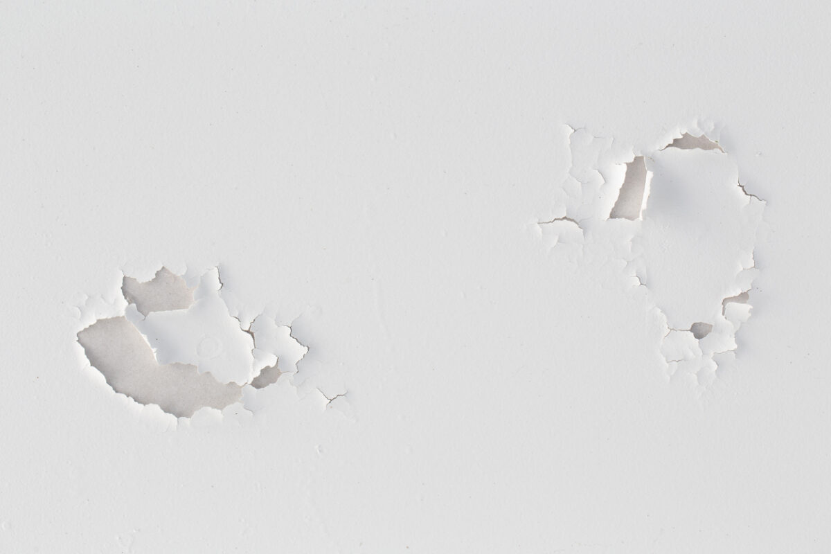 What Causes Peeling Paint? - All Climate Painting